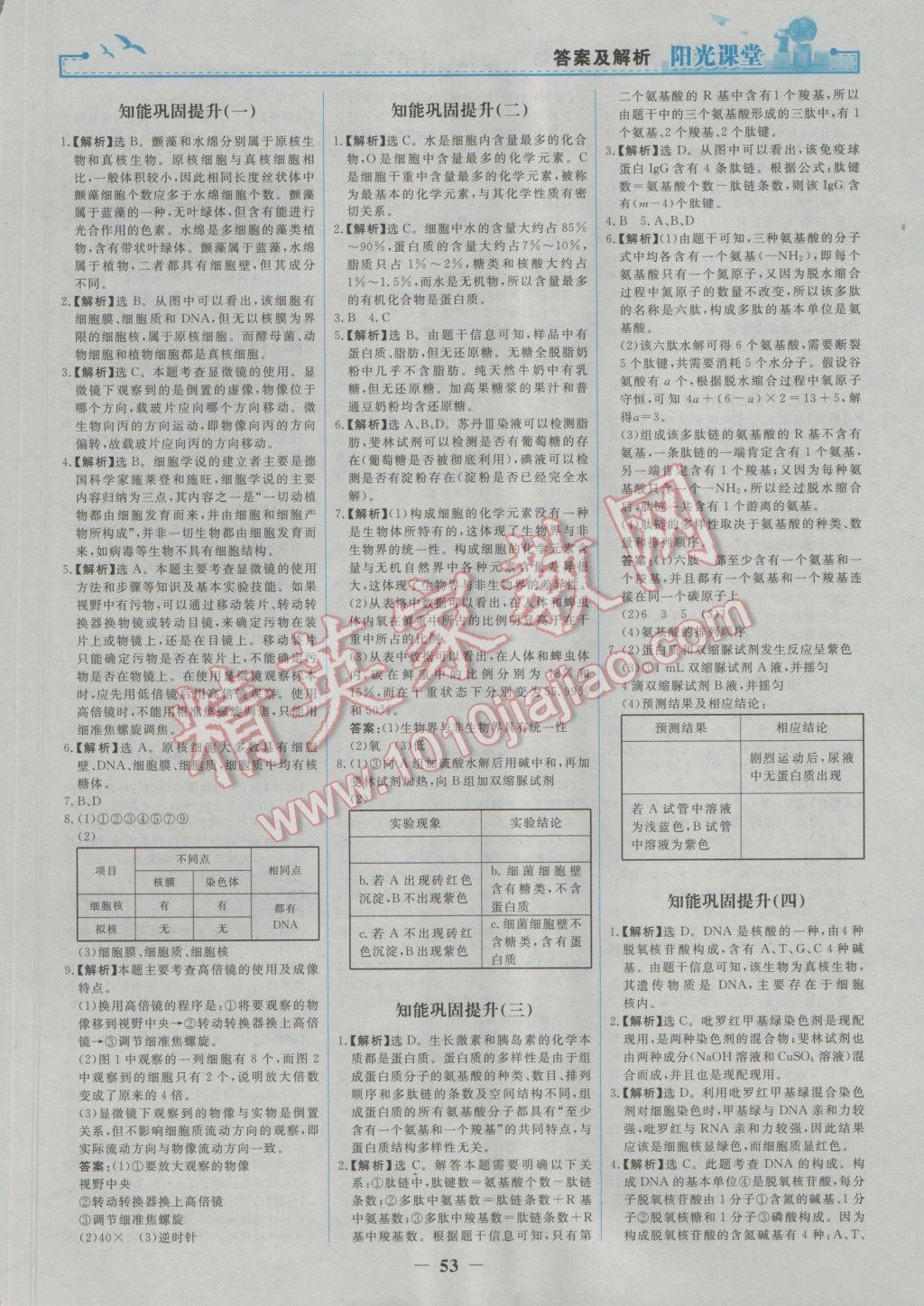 陽光課堂生物必修1人教版 參考答案第13頁