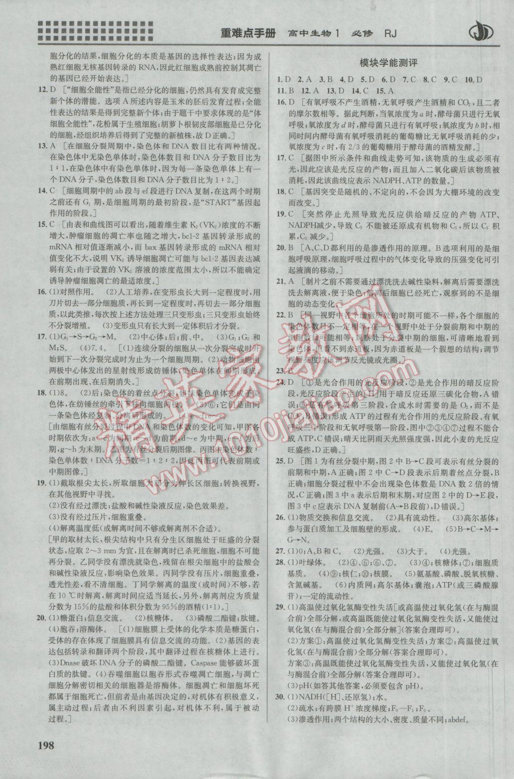 2016年重難點手冊高中生物必修1人教版 參考答案第14頁