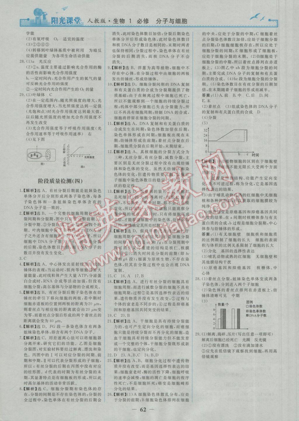 陽(yáng)光課堂生物必修1人教版 參考答案第22頁(yè)