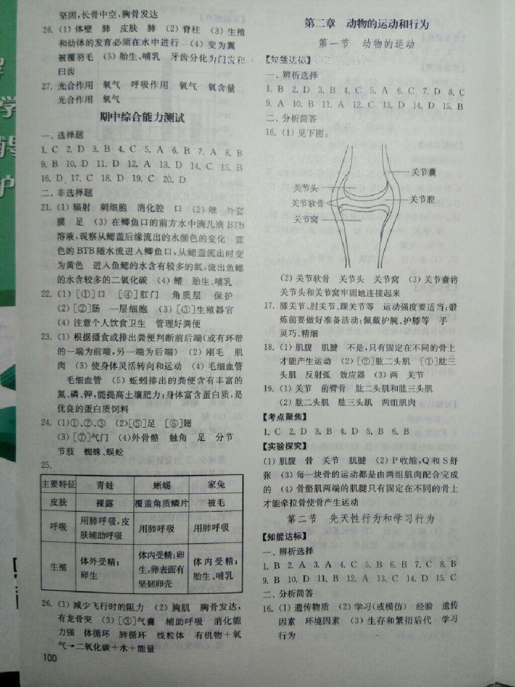 2016年初中基础训练八年级生物学上册五四制山东教育出版社 第4页