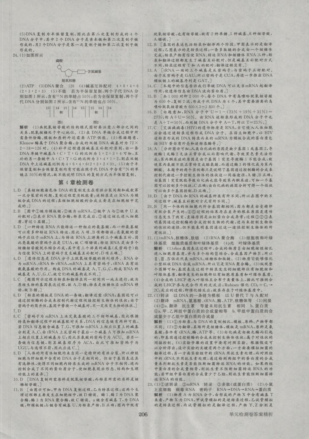 2016年步步高學案導學與隨堂筆記生物必修2人教版 參考答案第30頁