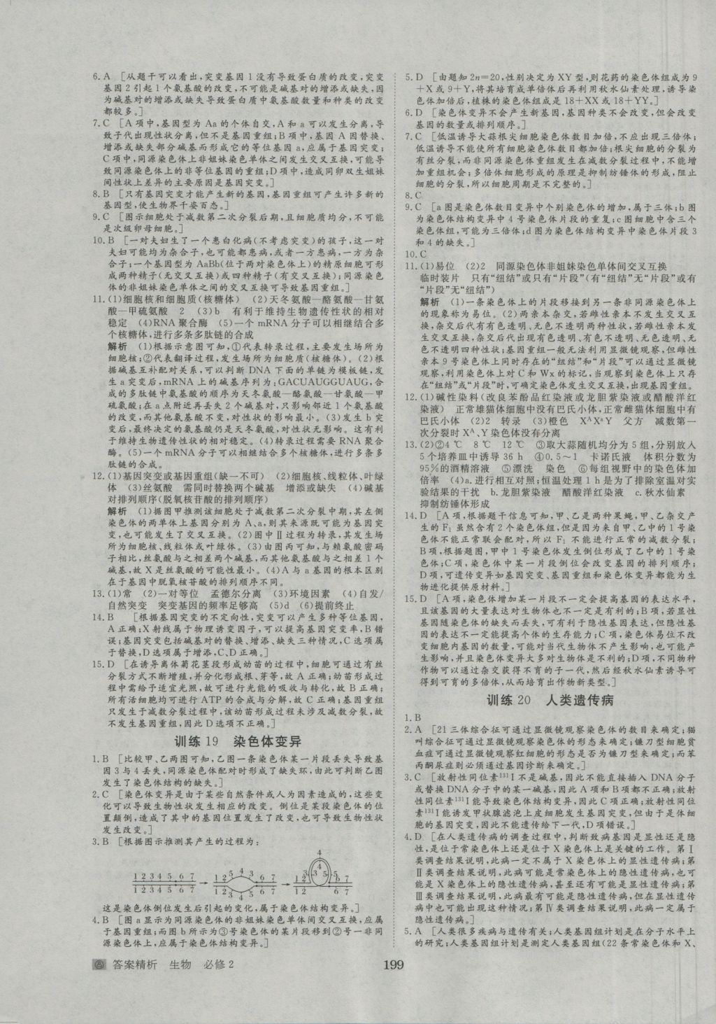 2016年步步高学案导学与随堂笔记生物必修2人教版 参考答案第23页