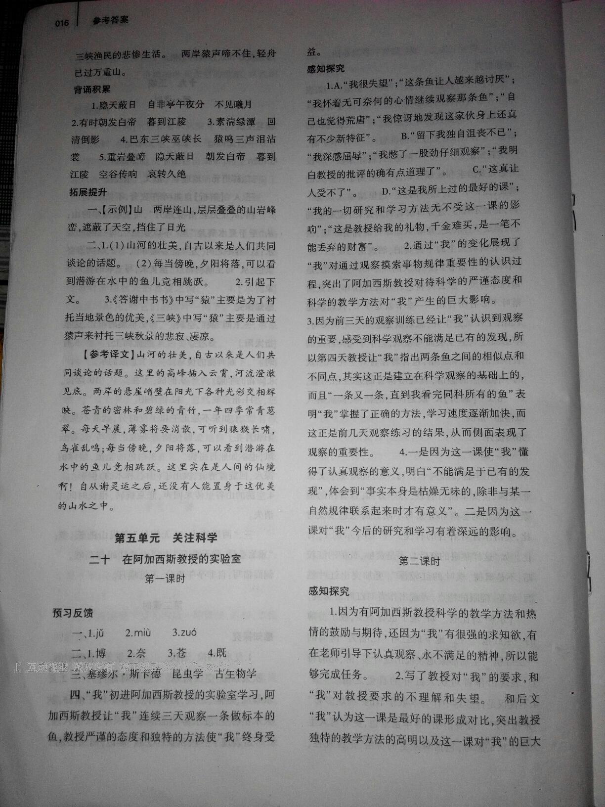 2016年基礎(chǔ)訓(xùn)練七年級(jí)語文上冊(cè)蘇教版僅限河南省使用大象出版社 第16頁