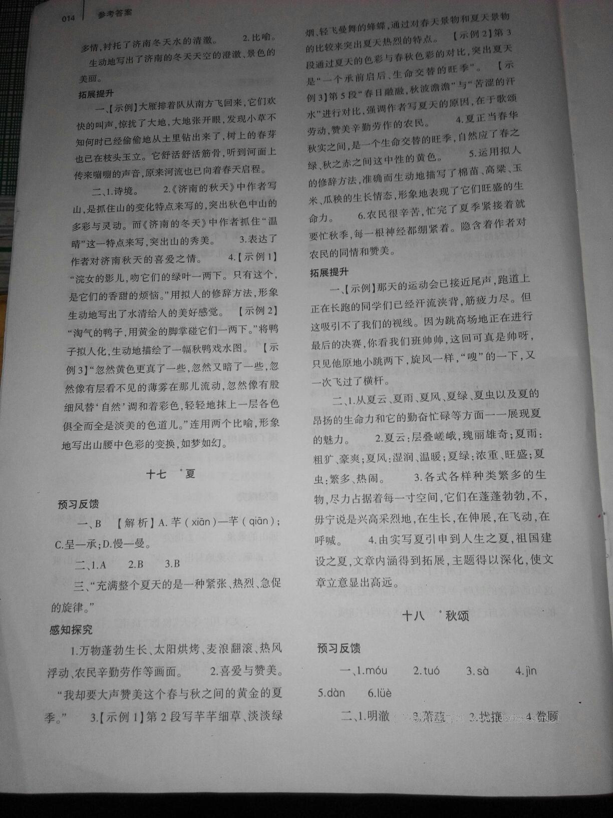 2016年基礎(chǔ)訓(xùn)練七年級語文上冊蘇教版僅限河南省使用大象出版社 第14頁