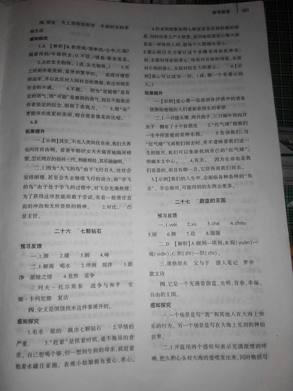 2016年基礎(chǔ)訓(xùn)練七年級(jí)語(yǔ)文上冊(cè)蘇教版僅限河南省使用大象出版社 第21頁(yè)