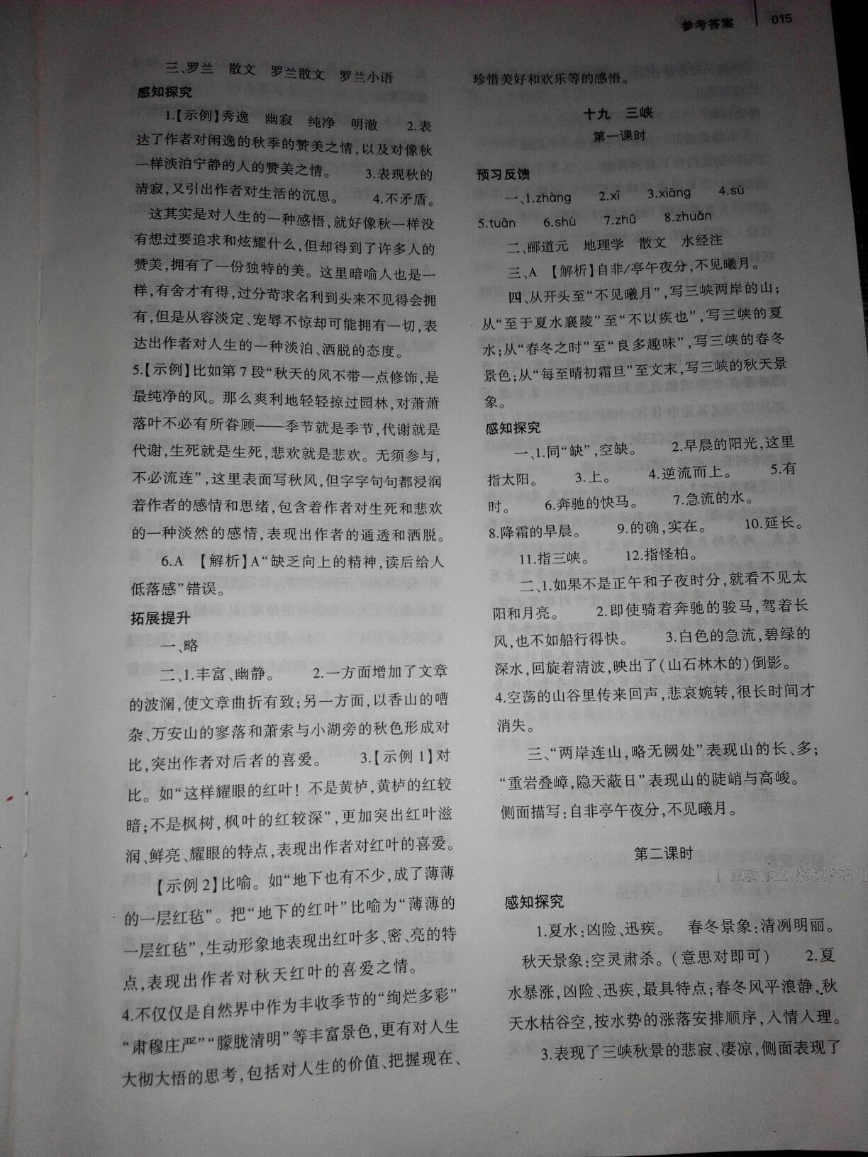 2016年基礎(chǔ)訓(xùn)練七年級語文上冊蘇教版僅限河南省使用大象出版社 第15頁