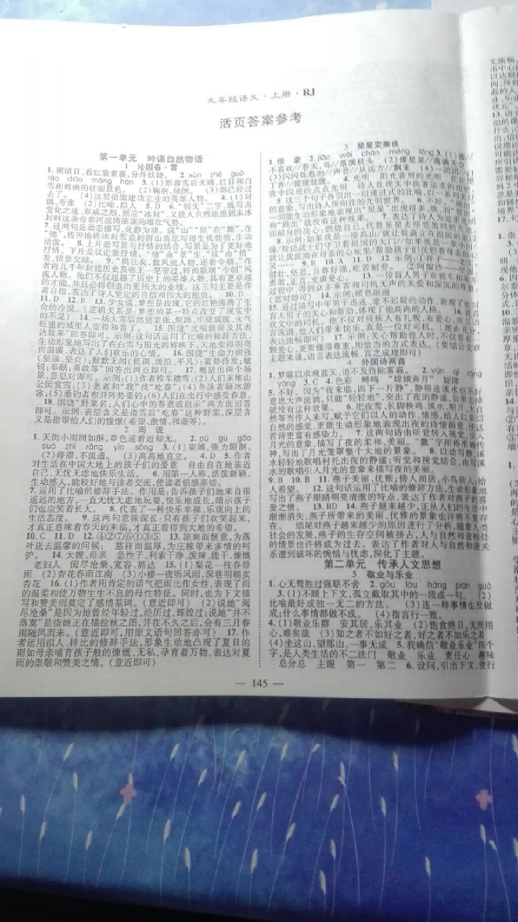 2015年名師課堂導(dǎo)學(xué)案九年級語文上冊 第17頁