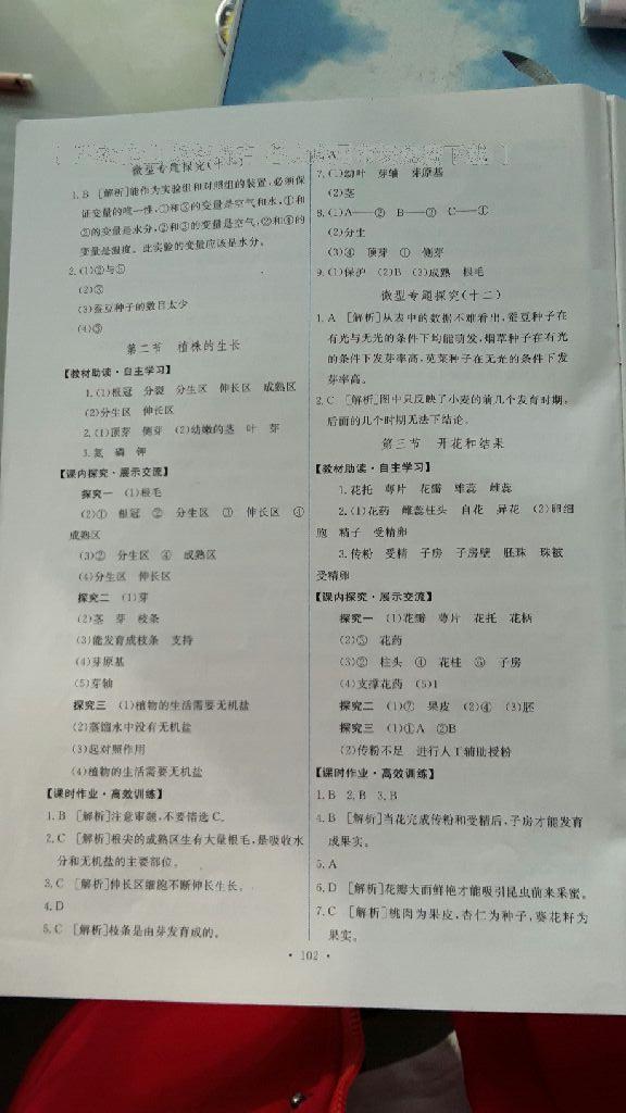 2016年能力培养与测试七年级生物学上册人教版C 第12页