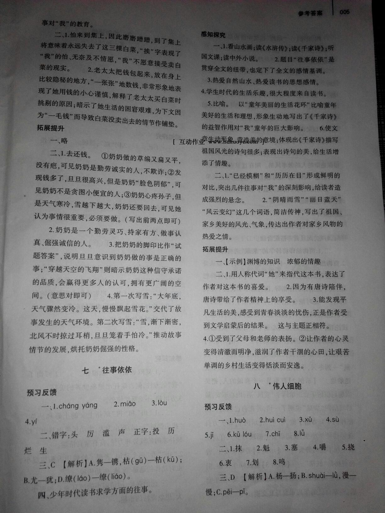 2016年基礎(chǔ)訓(xùn)練七年級語文上冊蘇教版僅限河南省使用大象出版社 第5頁