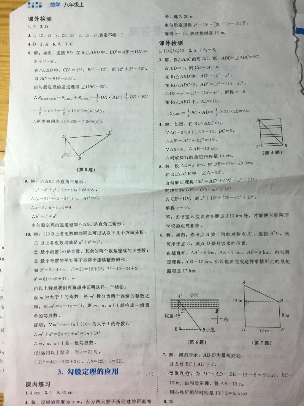 2016年伴你学八年级数学上册北师大版北京师范大学出版社 第7页