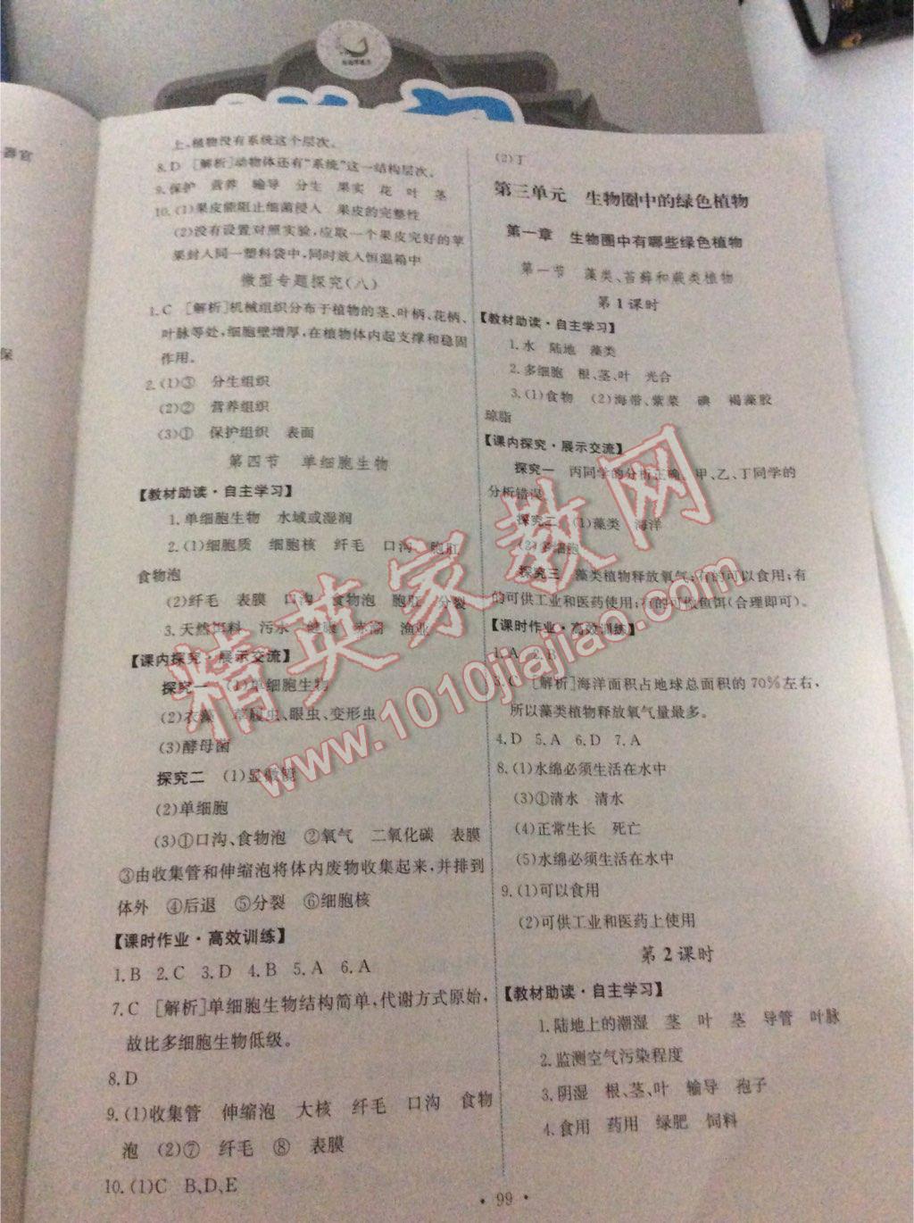 2016年能力培養(yǎng)與測試七年級生物學上冊人教版C 第29頁