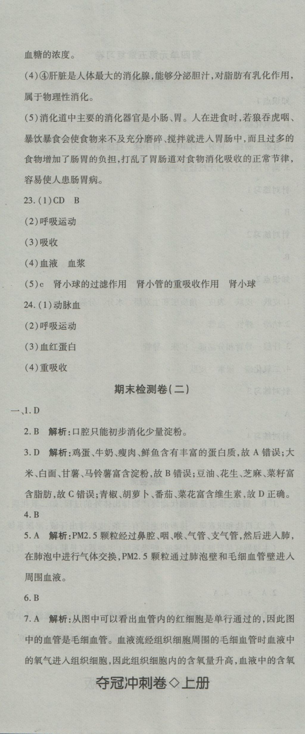 2016年奪冠沖刺卷七年級(jí)生物上冊(cè)魯科版五四制 參考答案第11頁(yè)