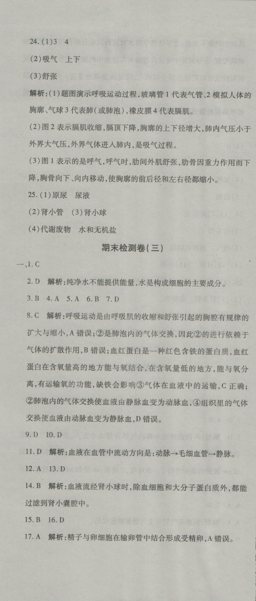 2016年奪冠沖刺卷七年級(jí)生物上冊(cè)魯科版五四制 參考答案第13頁