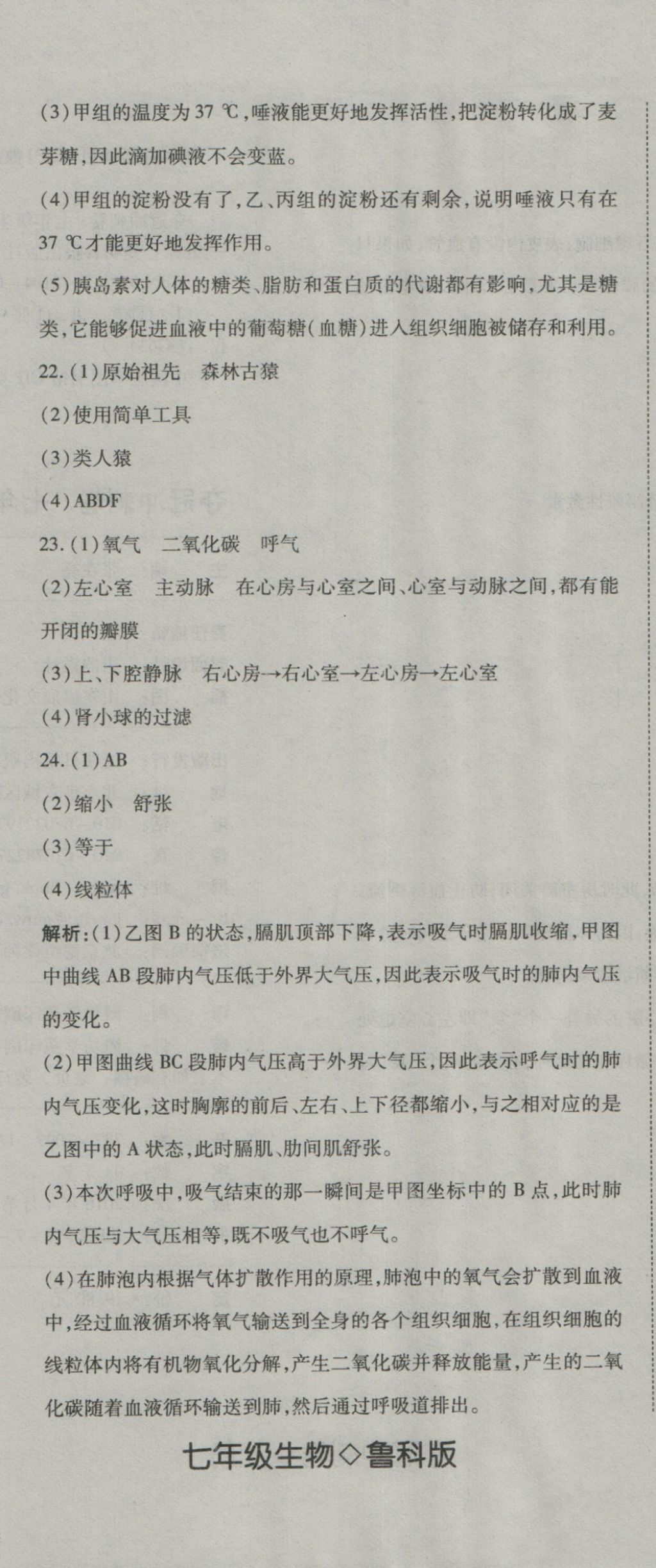 2016年奪冠沖刺卷七年級(jí)生物上冊(cè)魯科版五四制 參考答案第20頁(yè)