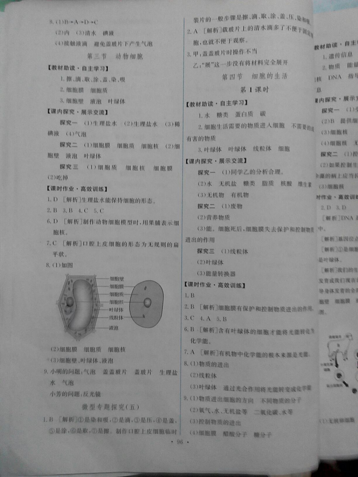 2016年能力培養(yǎng)與測試七年級生物學(xué)上冊人教版C 第36頁