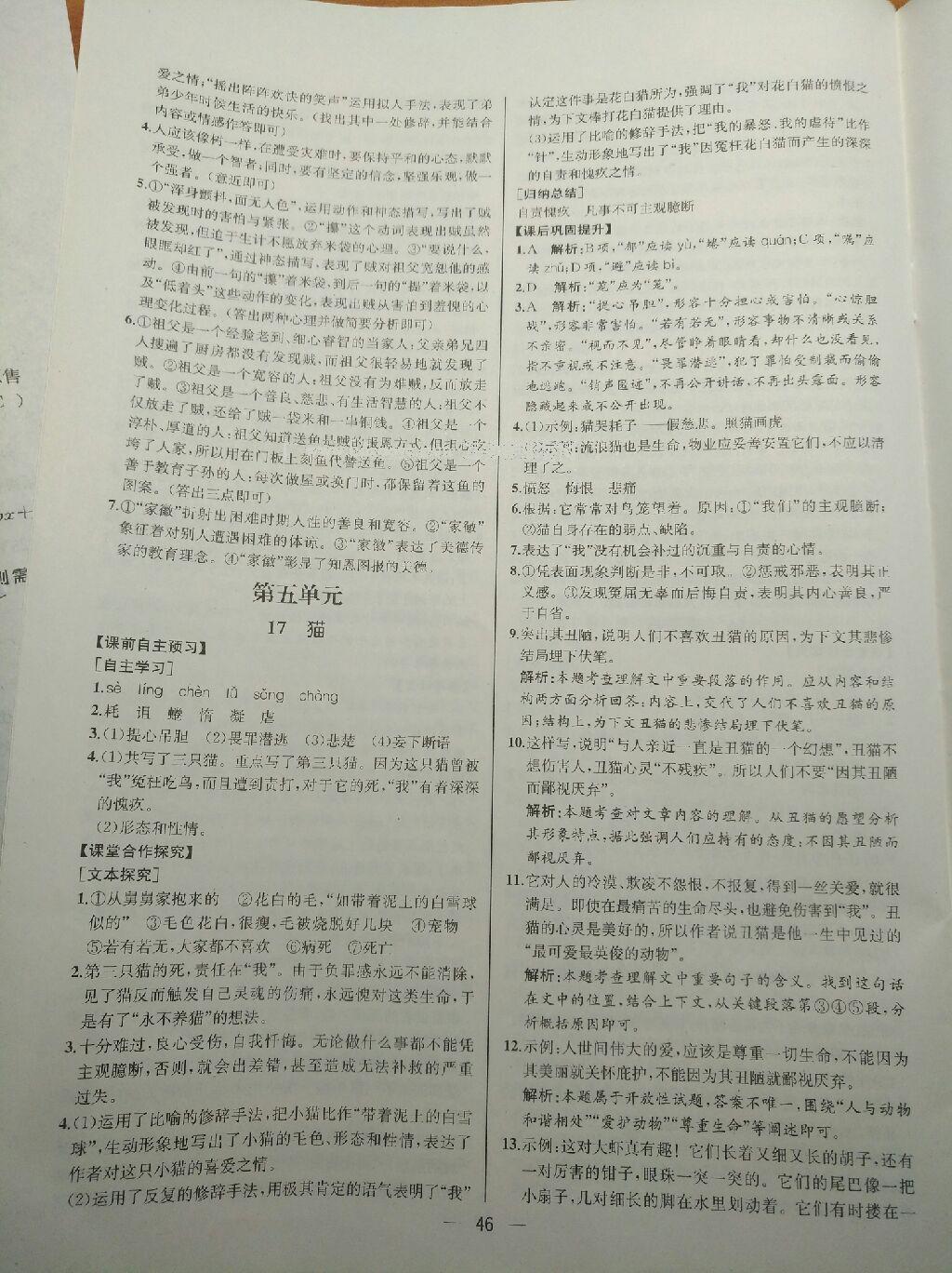 2016年同步导学案课时练七年级语文上册人教版河北专版 第22页