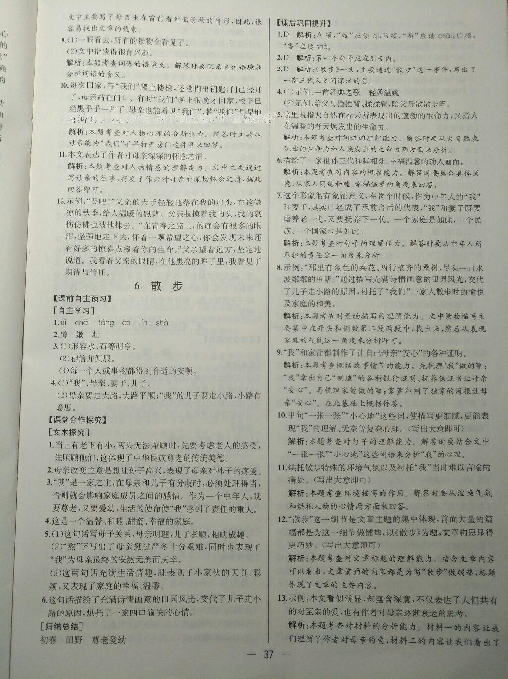 2016年同步導(dǎo)學(xué)案課時練七年級語文上冊人教版河北專版 第13頁