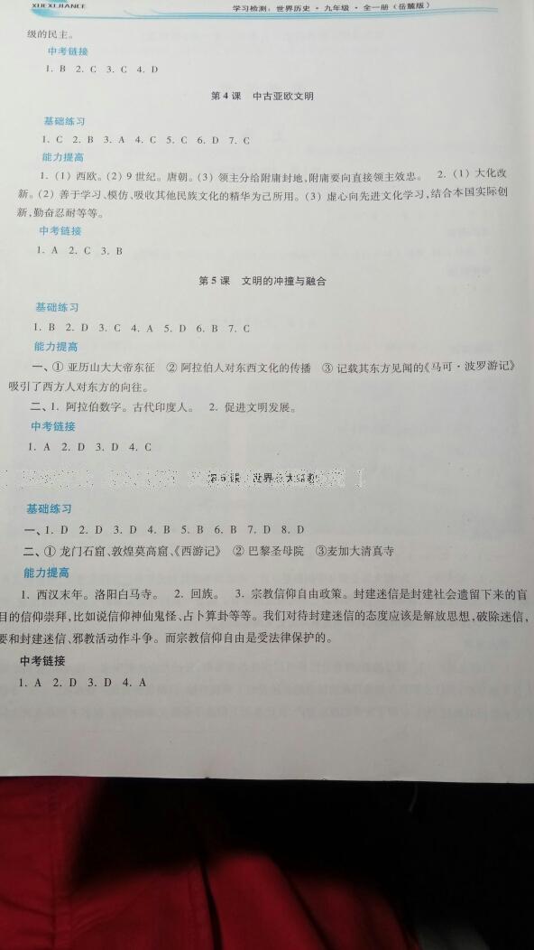 2016年學(xué)習(xí)檢測九年級(jí)世界歷史全一冊岳麓版 第2頁