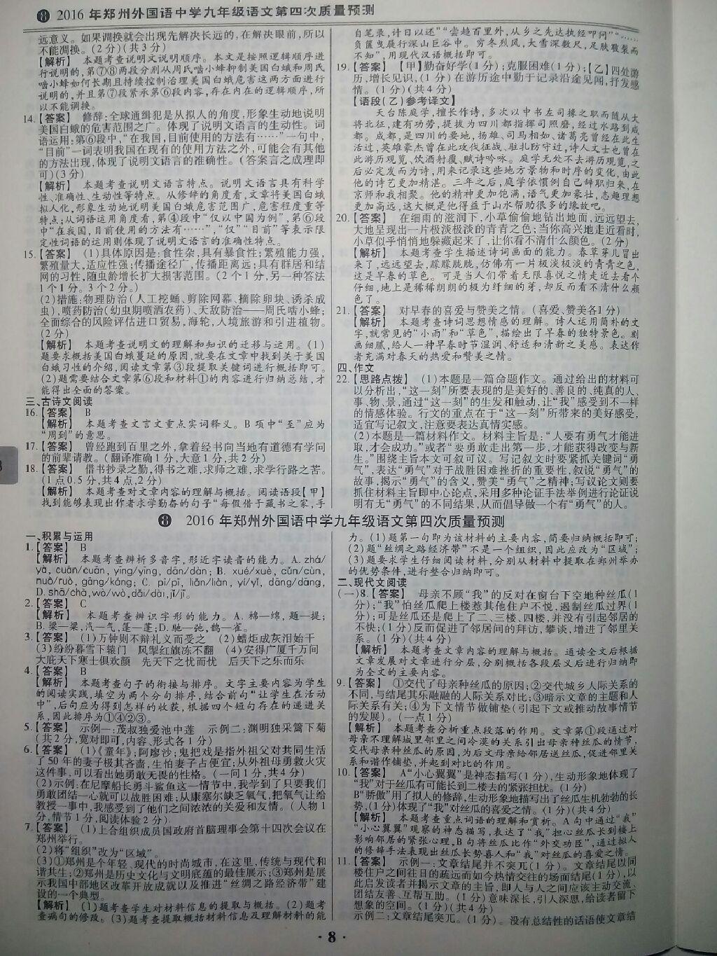 2017年鼎成教育河南中考模擬試卷精編巔峰31加2套語文 第13頁