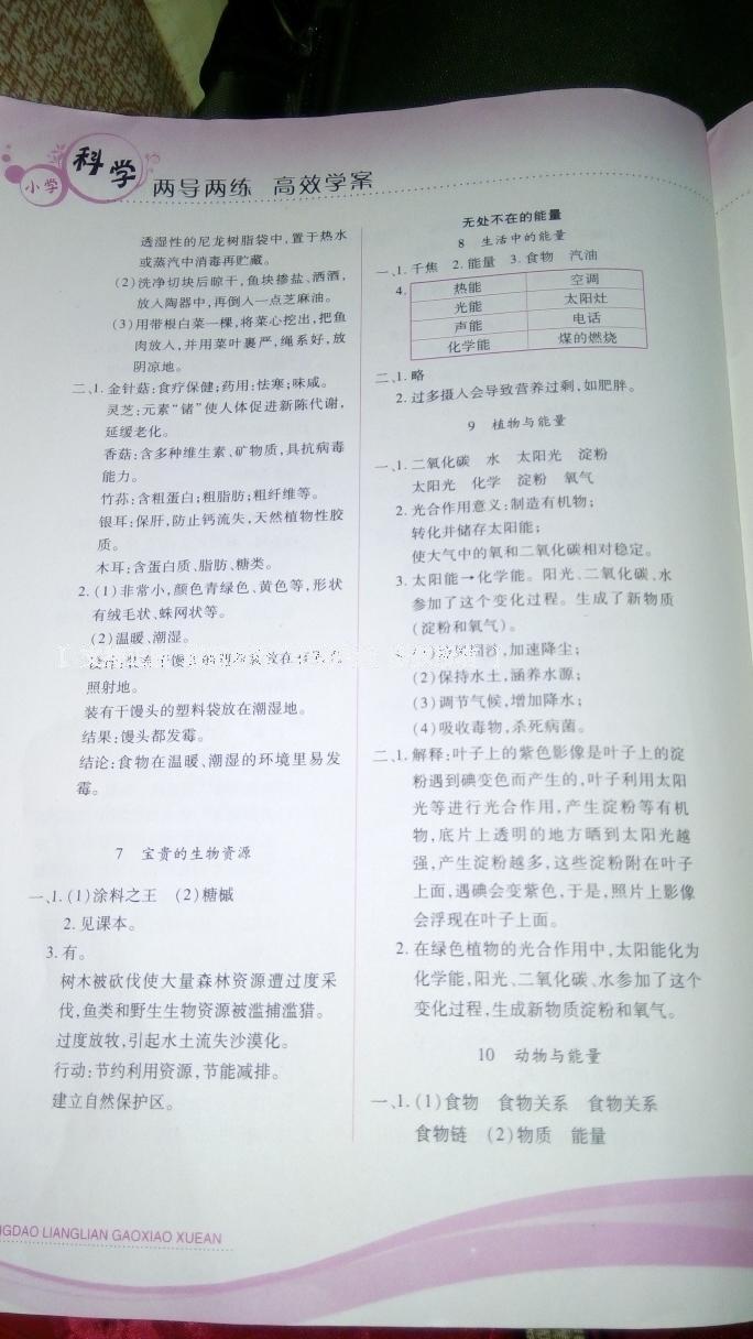 2016年新課標(biāo)兩導(dǎo)兩練高效學(xué)案六年級(jí)科學(xué)上冊(cè)冀人民版 第3頁(yè)