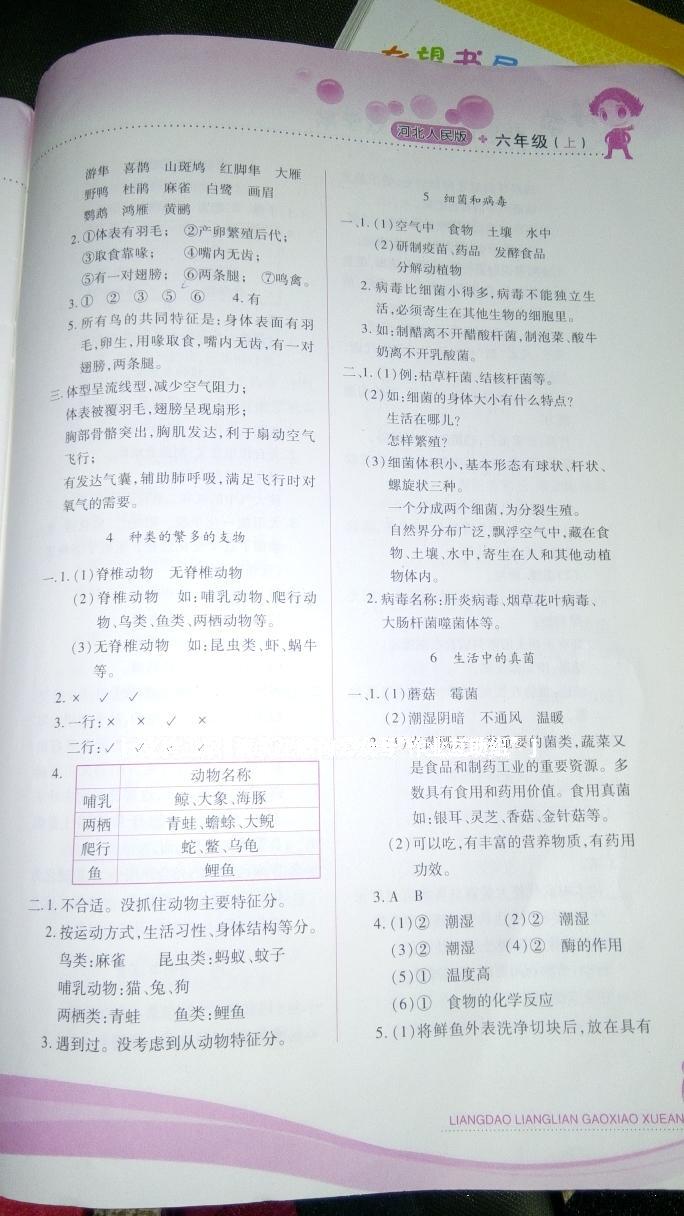 2016年新課標兩導兩練高效學案六年級科學上冊冀人民版 第2頁