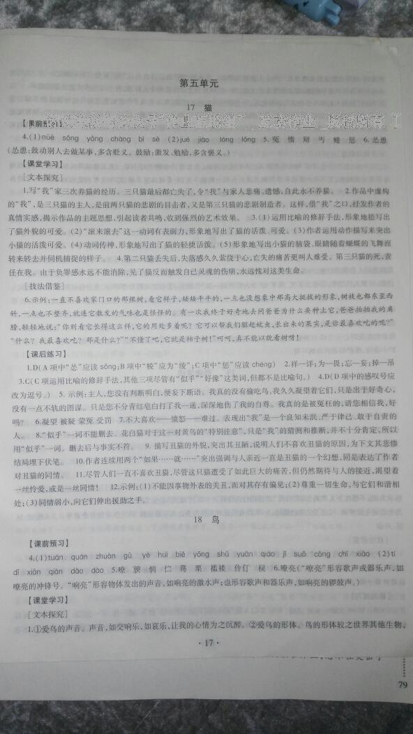 2016年同步学习七年级语文上册 第7页