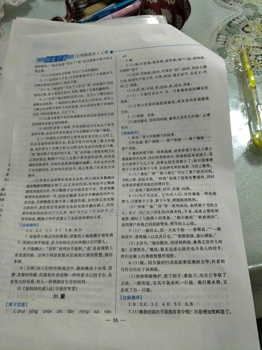 2016年績(jī)優(yōu)學(xué)案七年級(jí)語(yǔ)文上冊(cè)人教版 第59頁(yè)