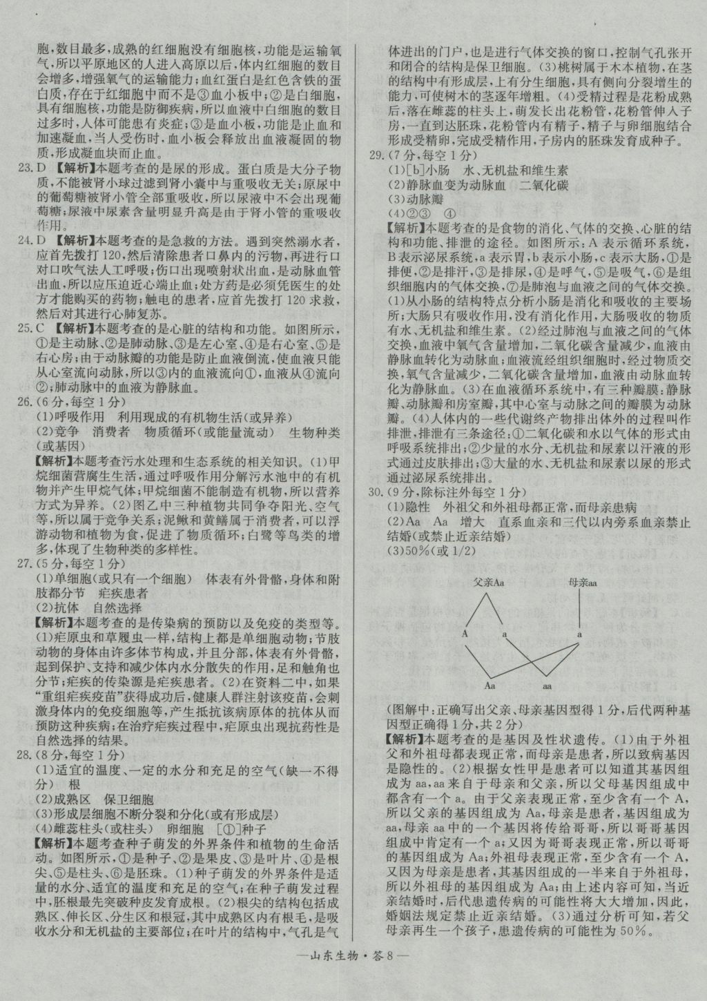 2017年天利38套山東省中考試題精選生物 參考答案第8頁