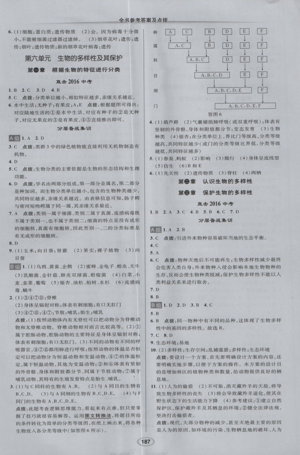 2017年荣德基点拨中考生物人教版 参考答案第11页