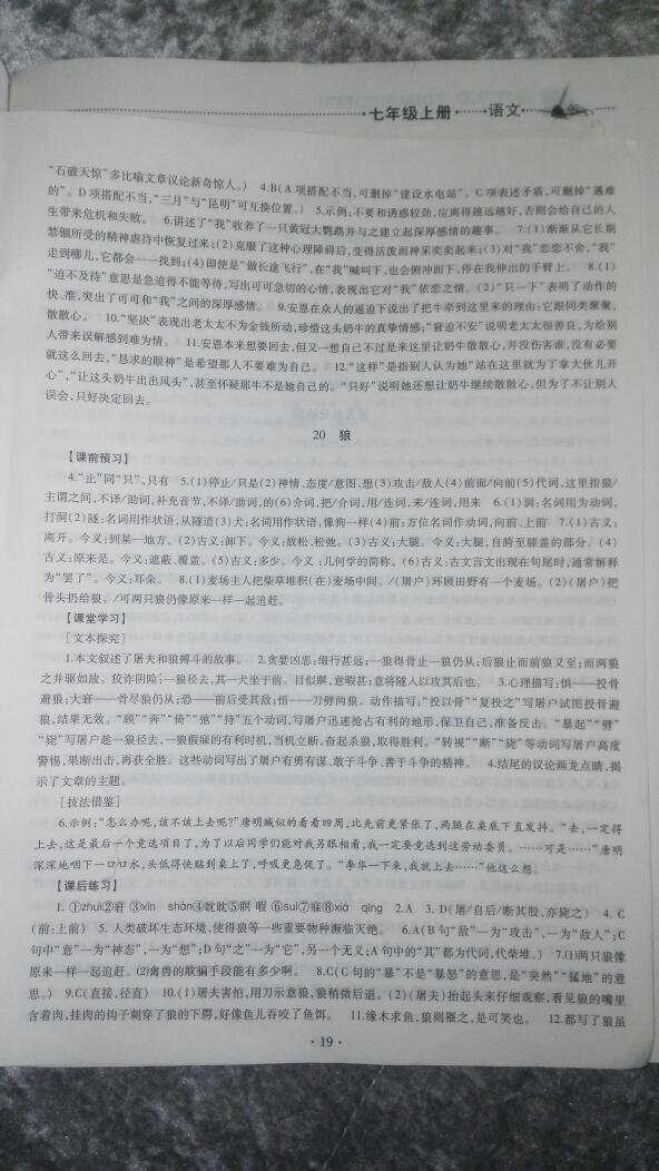 2016年同步学习七年级语文上册 第9页