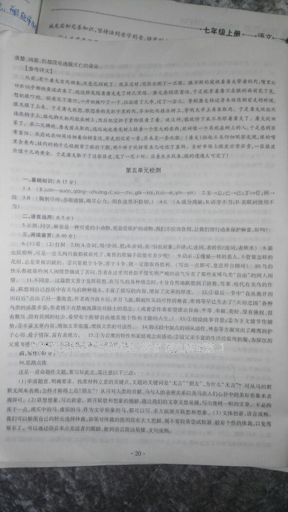 2016年同步学习七年级语文上册 第10页