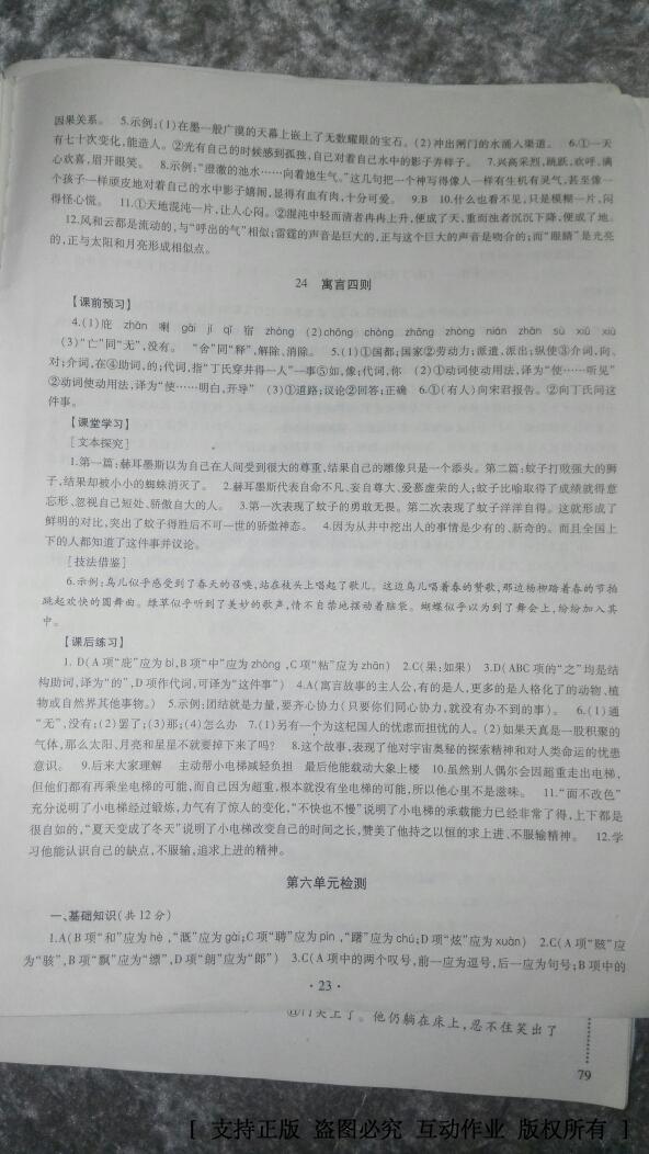 2016年同步学习七年级语文上册 第13页