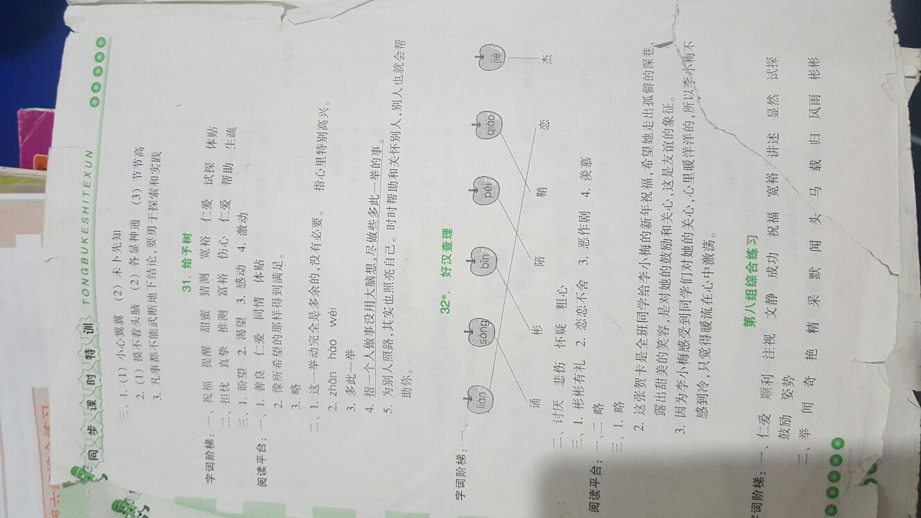 2016年浙江新课程三维目标测评同步课时特训三年级语文上册人教版 第14页