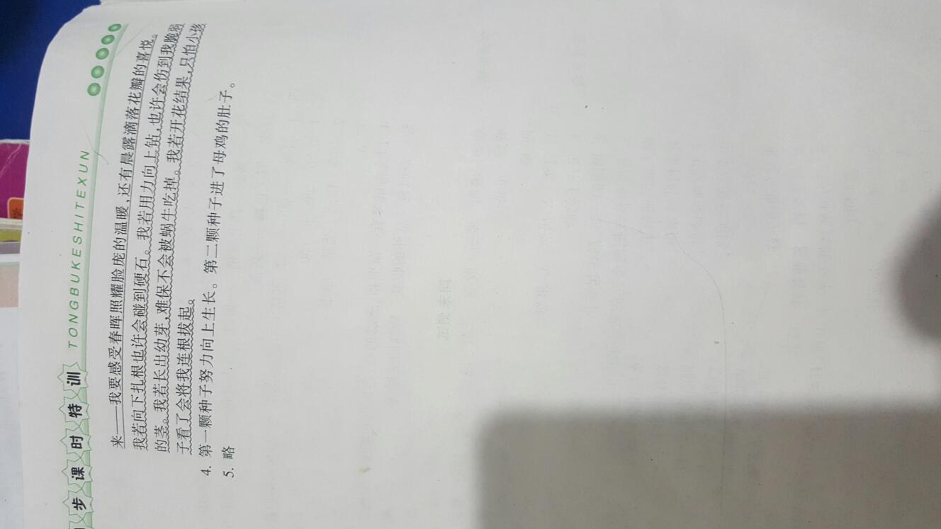 2016年浙江新课程三维目标测评同步课时特训三年级语文上册人教版 第16页