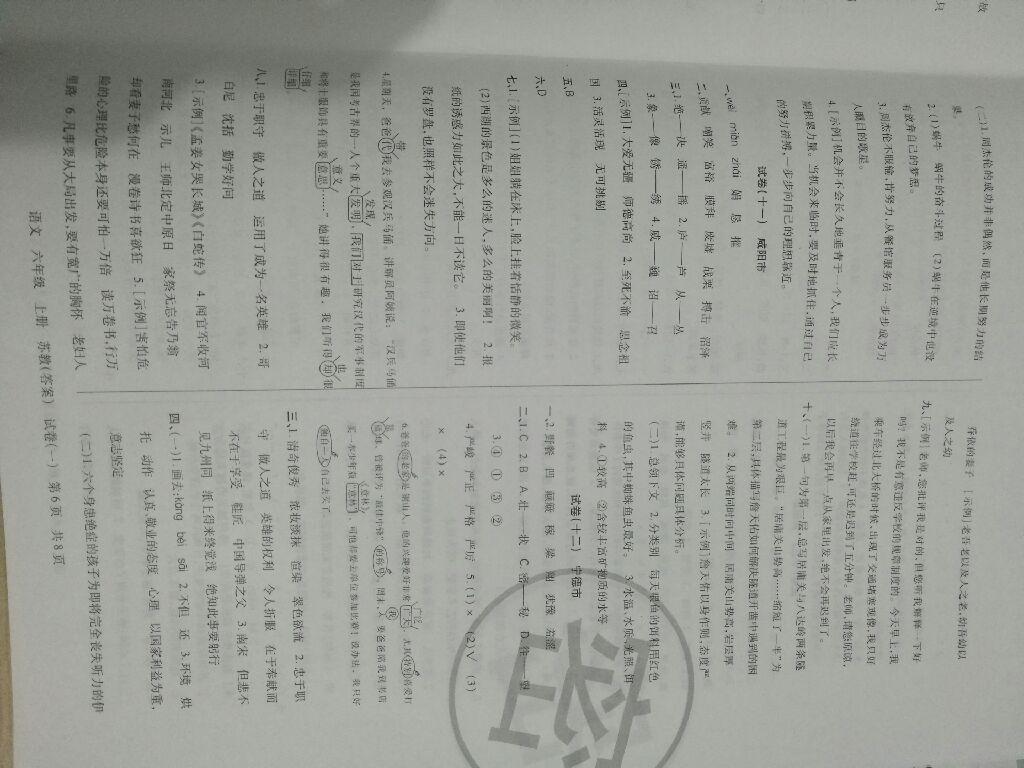 2016年王朝霞考點(diǎn)梳理時(shí)習(xí)卷六年級(jí)語(yǔ)文上冊(cè)蘇教版 第6頁(yè)