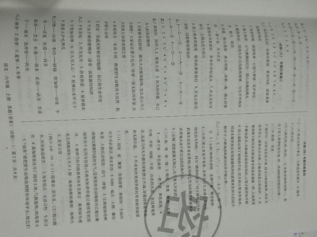 2016年王朝霞考點(diǎn)梳理時(shí)習(xí)卷六年級(jí)語(yǔ)文上冊(cè)蘇教版 第2頁(yè)