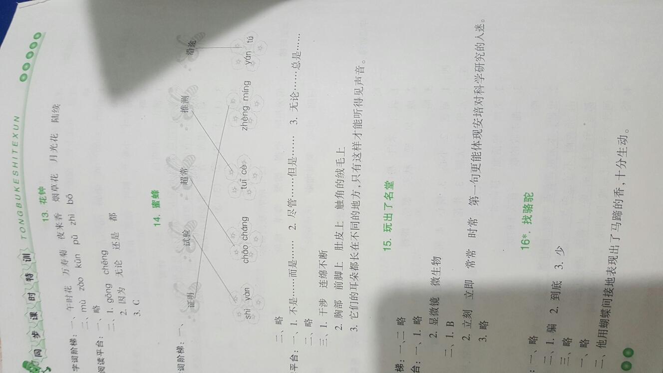 2016年浙江新课程三维目标测评同步课时特训三年级语文上册人教版 第6页