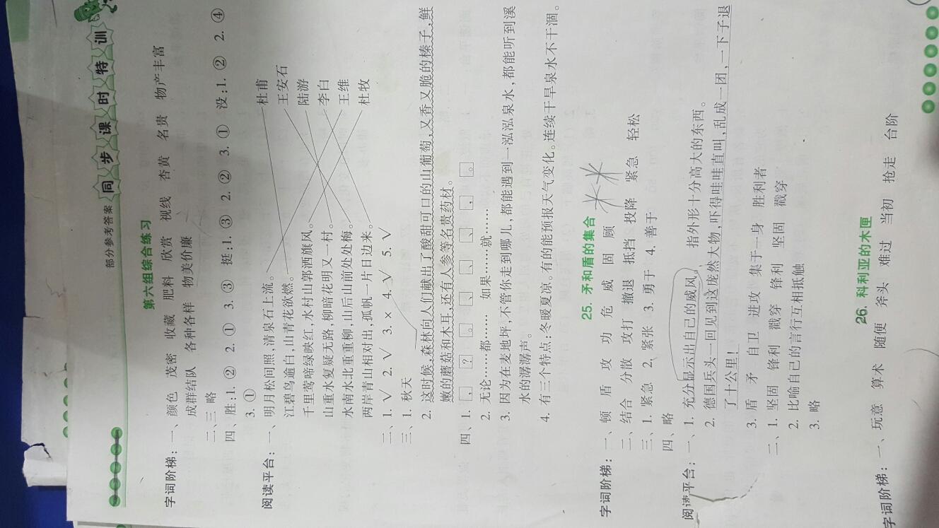 2016年浙江新课程三维目标测评同步课时特训三年级语文上册人教版 第11页