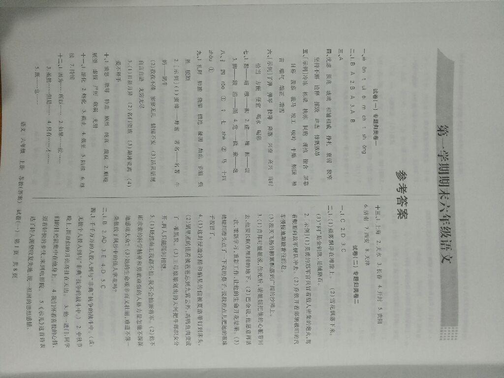 2016年王朝霞考點(diǎn)梳理時(shí)習(xí)卷六年級(jí)語(yǔ)文上冊(cè)蘇教版 第1頁(yè)