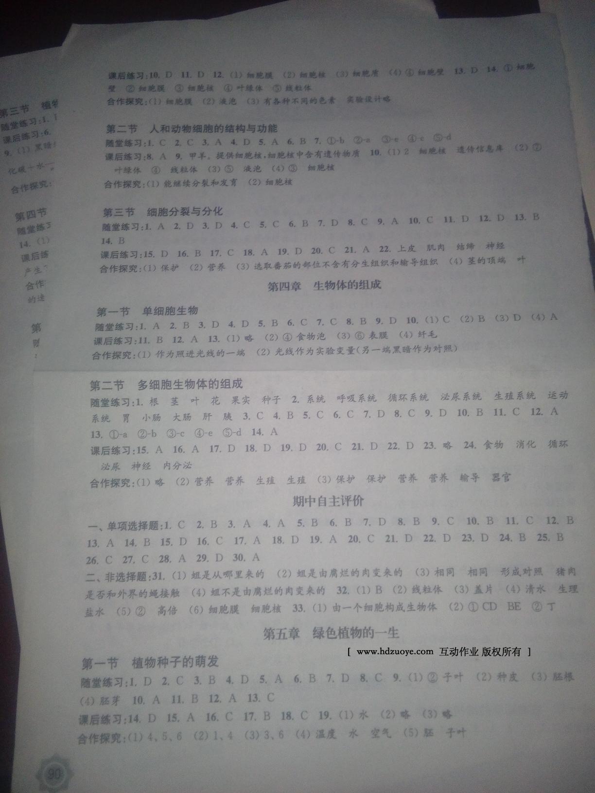 2016年配套綜合練習七年級生物上冊江蘇教育版江蘇教育出版社 第11頁