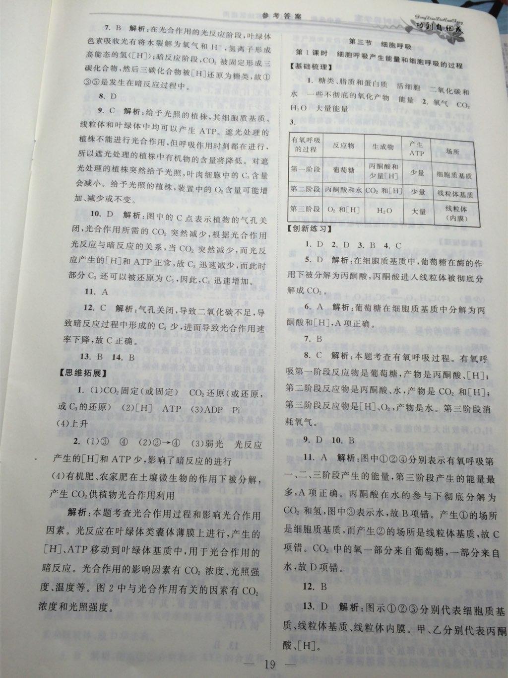 功到自然成課時(shí)導(dǎo)學(xué)案高中生物必修1江蘇地區(qū)適用 第19頁(yè)