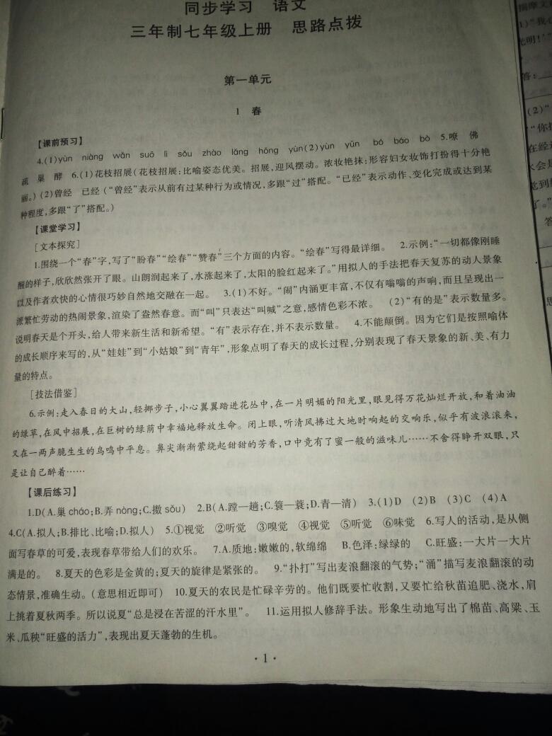 2016年同步学习七年级语文上册 第19页