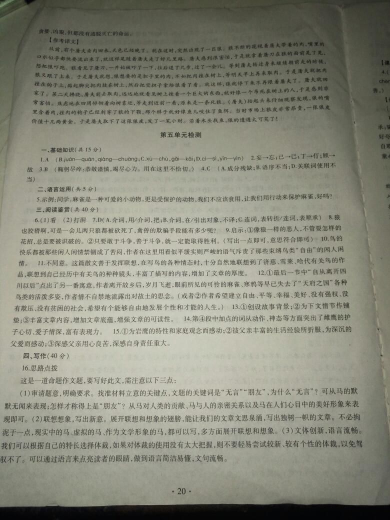 2016年同步学习七年级语文上册 第34页