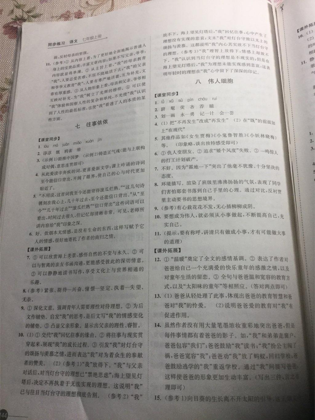 2016年同步練習(xí)七年級(jí)語(yǔ)文上冊(cè)蘇教版江蘇鳳凰科學(xué)技術(shù)出版社 第20頁(yè)