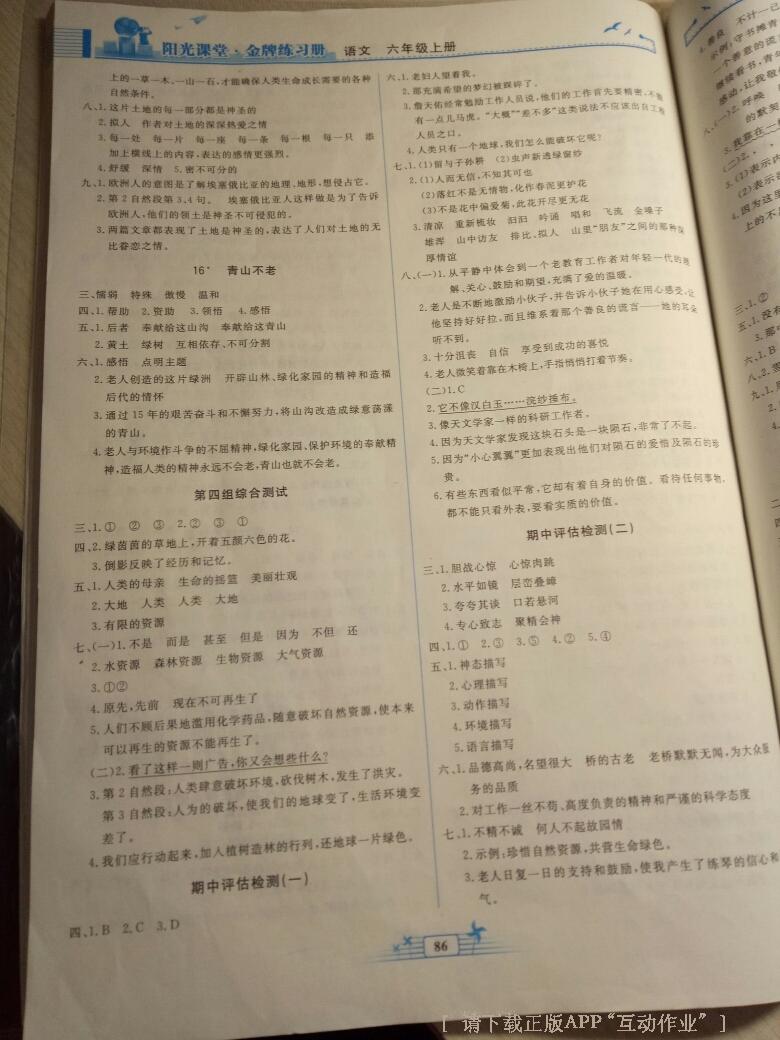 2016年陽(yáng)光課堂金牌練習(xí)冊(cè)六年級(jí)語(yǔ)文上冊(cè)人教版 第12頁(yè)