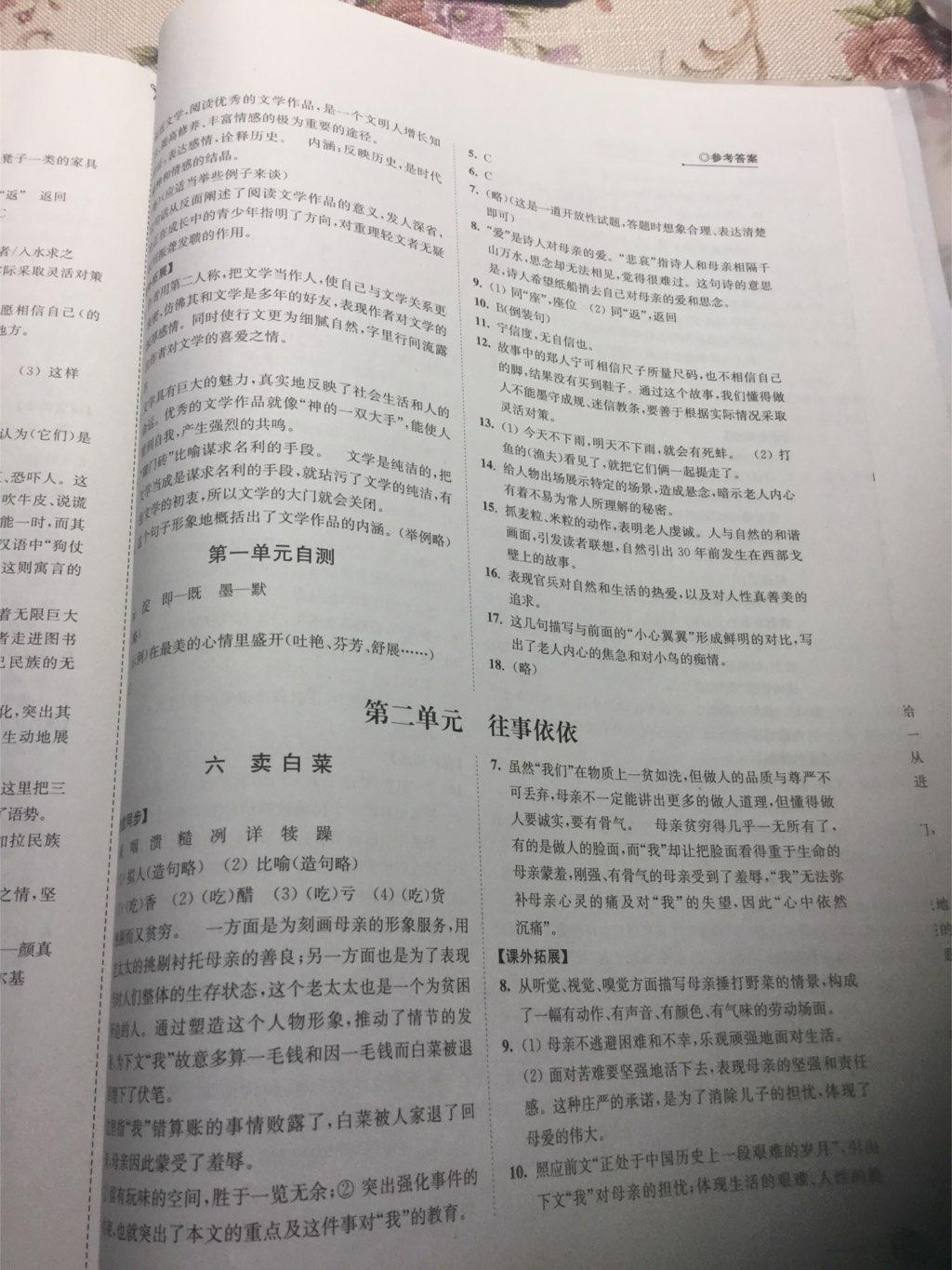 2016年同步練習(xí)七年級語文上冊蘇教版江蘇鳳凰科學(xué)技術(shù)出版社 第19頁