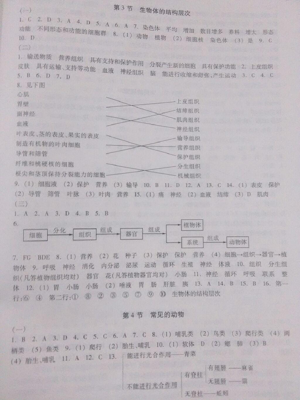 2016年同步练习七年级科学上册浙江教育出版社 第22页