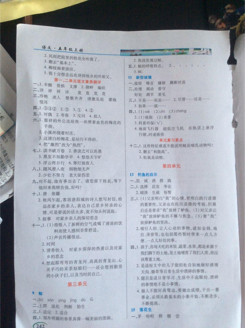 2016年新世紀(jì)英才英才教程五年級(jí)語(yǔ)文上冊(cè)人教版 第17頁(yè)