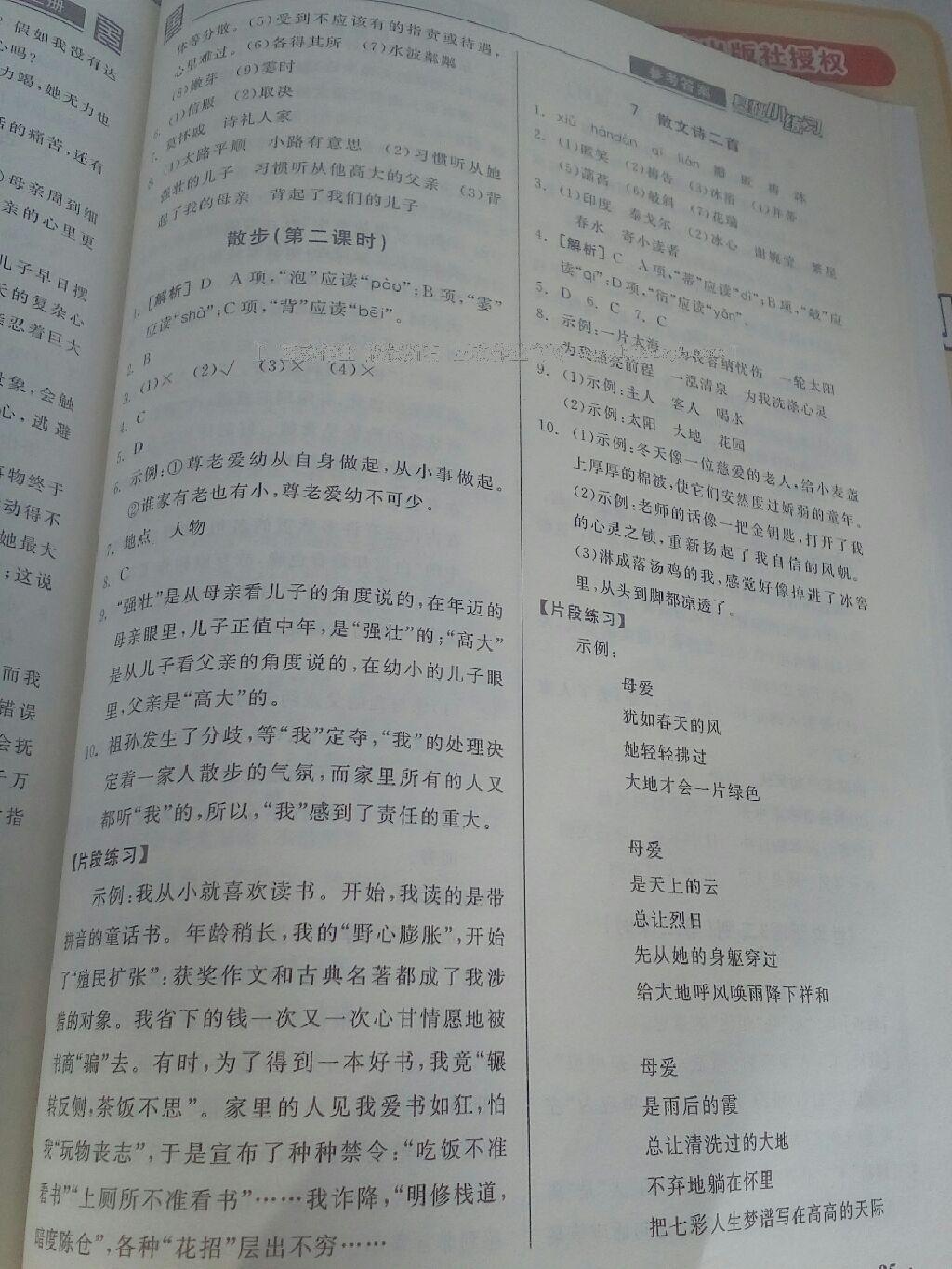 2016年全品基礎(chǔ)小練習(xí)七年級(jí)語(yǔ)文上冊(cè)人教版 第5頁(yè)