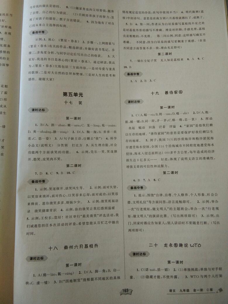 2016年新課程學(xué)習(xí)與測評同步學(xué)習(xí)九年級語文全一冊C版 第19頁